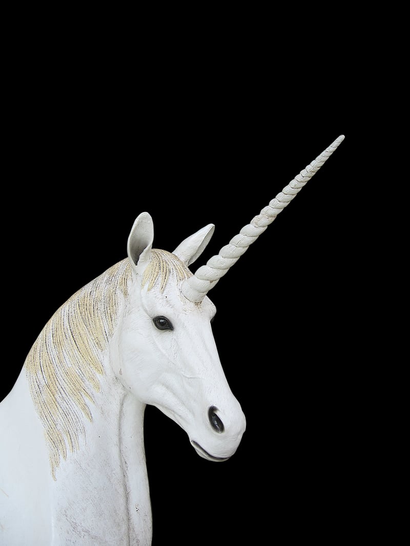Unicorn Wonderland Centerpiece